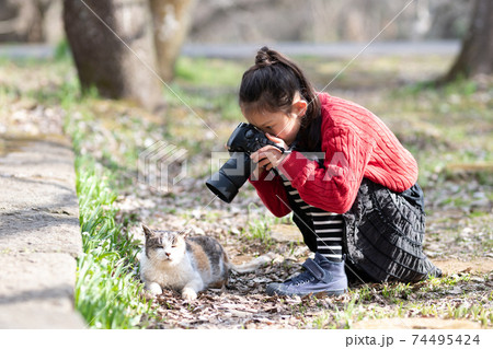 猫の写真を撮る女の子 猫の写真を撮る女の子 74495424
