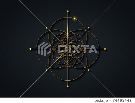Gold Sacred Geometry, Seed of life symbol. Logo icon Geometric mystic mandala of alchemy esoteric Flower of Life. Vector golden line art tattoo divine meditative amulet isolated on black background 74495443