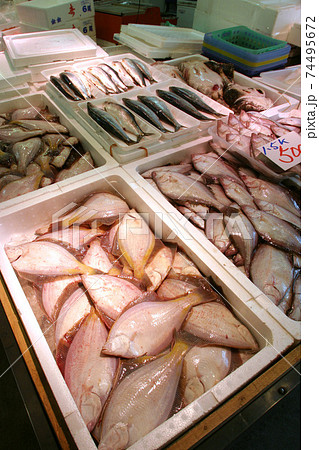小樽市場 小樽の市場 カレイ ニシン 小樽市場 小樽の市場 カレイ ニシン 74495672