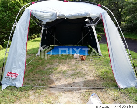 片付けの途中ツールームテントで待つ犬 片付けの途中ツールームテントで待つ犬 74495865