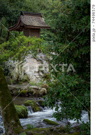 京都 上賀茂神社境内風景 74496579