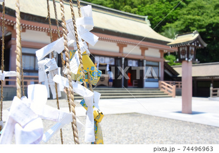 鹿児島市・照国神社に結ばれたおみくじ 鹿児島市・照国神社に結ばれたおみくじ 74496963