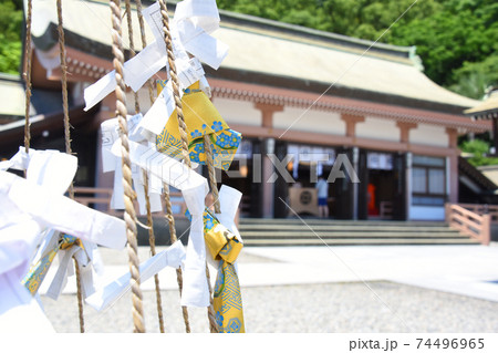 鹿児島市・照国神社に結ばれたおみくじ 鹿児島市・照国神社に結ばれたおみくじ 74496965