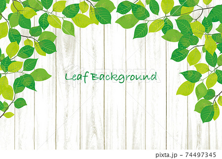 爽やかな新緑と白い木目の背景素材のイラスト素材