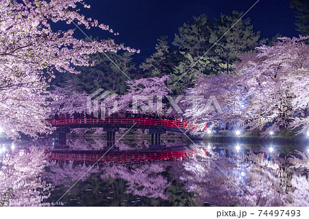 【青森】弘前公園の満開の桜ライトアップとリフレクション 74497493