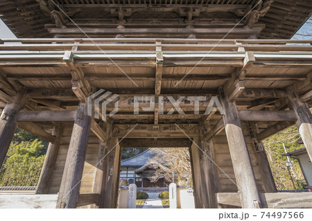 国分寺楼門　国分寺　楼門　寺　門　江戸時代 74497566