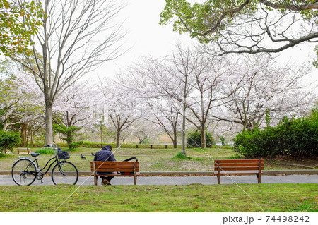 桜咲く公園のベンチで 74498242
