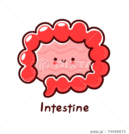 Cute happy funny human intestine organ character. Vector flat line cartoon kawaii character illustration icon. Isolated on white background. Intestine with face character mascot concept 74499073