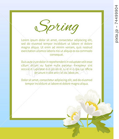 Spring Poster Place Text in Frame Anemone Snowdrop 74499904