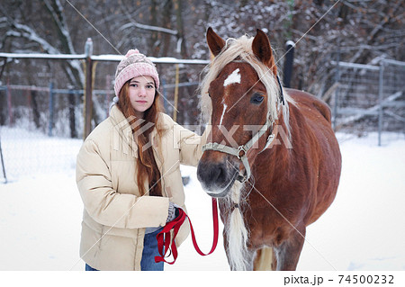 girl with long brown hair and chestnut horse with plaited mane close up portrait on winter snowy background girl with long brown hair and chestnut horse with plaited mane close up portrait on winter snowy background 74500232