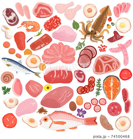 肉と魚と卵と香草の置き画 背景イラストのイラスト素材
