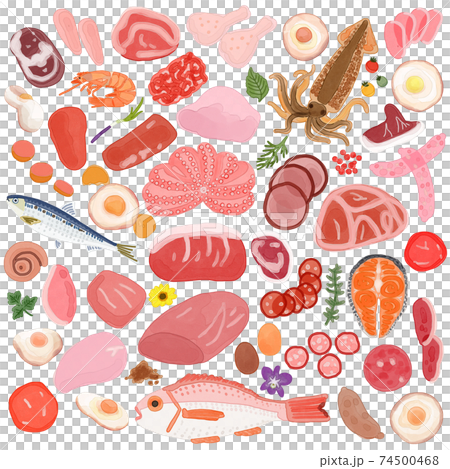肉と魚と卵と香草の置き画 背景イラストのイラスト素材