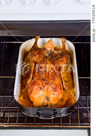 Roasted duck 74500616
