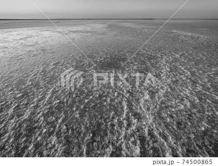 Grayscale. Sunset on the Genichesk pink extremely salty lake (colored by microalgae with crystalline salt depositions), Ukraine. Grayscale. Sunset on the Genichesk pink extremely salty lake (colored by microalgae with crystalline salt depositions), Ukraine. 74500865