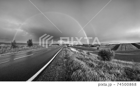 Grayscale. Spring rapeseed and small farmlands fields after rain 74500868