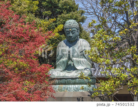 東京 谷中 天王寺に立つ明治時代の天台法華宗の銅の大仏である釈迦如来坐像 の写真素材
