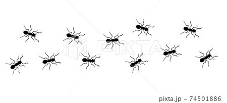 Ant vector trail marching illustration. Ant bug pest control background teamwork 74501886