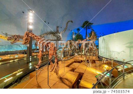 恐竜 (博物館 勝山市) 恐竜 (博物館 勝山市) 74503574