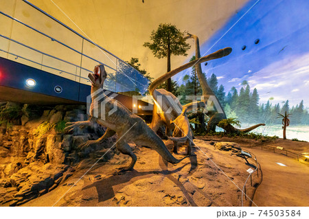 恐竜 (博物館 勝山市) 恐竜 (博物館 勝山市) 74503584