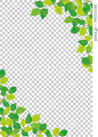 Refreshing fresh green decorative frame material 74503598