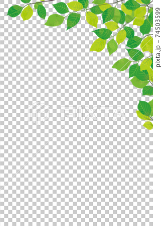 Refreshing fresh green decorative frame material 74503599