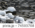 湖畔氷塊・中禅寺湖しぶき氷 74503708