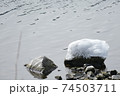 湖畔氷塊・中禅寺湖しぶき氷 74503711
