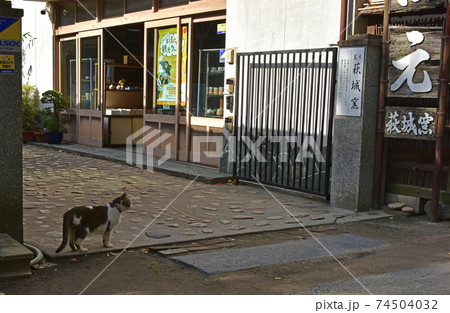 山口県 萩城址 山口県 萩城址 74504032