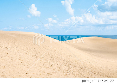 鳥取砂丘 74504177