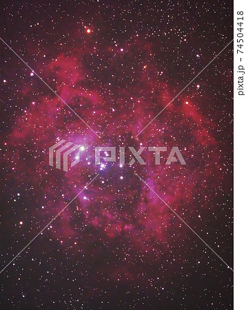 バラ星雲 バラ星雲 74504418