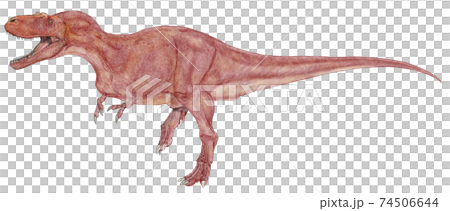 恐竜アルバートサウルス 白亜紀後期の北アメリカに生息した獣脚類でティラノサウルスの仲間のイラスト素材