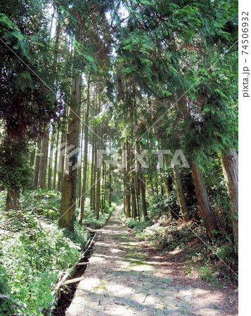 「草枕」のモデルとなった石畳の道 (熊本県玉名市) 「草枕」のモデルとなった石畳の道 (熊本県玉名市) 74506932