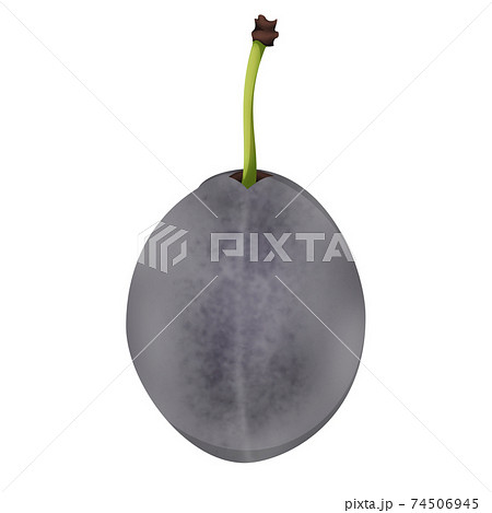 プルーンのイラスト素材