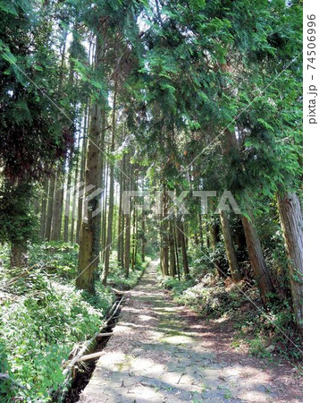 熊本県玉名市 「草枕の道」 熊本県玉名市 「草枕の道」 74506996