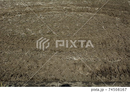 冬の田んぼ 土作り 冬の田んぼ 土作り 74508167