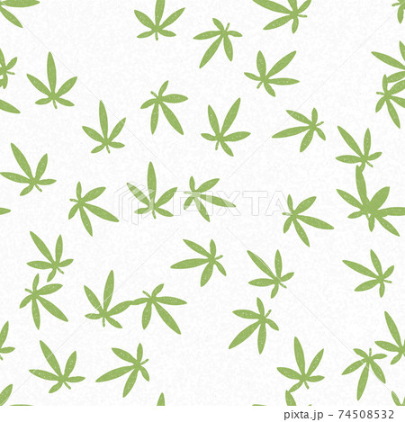 Hemp leaves. Green leaves on white background, seamless pattern. Vector illustration. 74508532