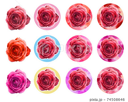 アナログ水彩赤いバラアイコンセット アナログ水彩赤いバラアイコンセット 74508646
