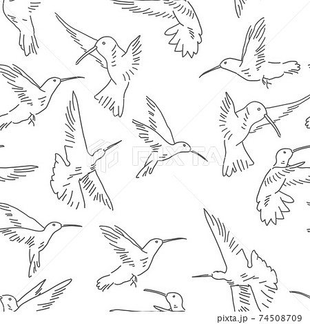 Hummingbird seamless pattern. Exotic theme vector background 74508709