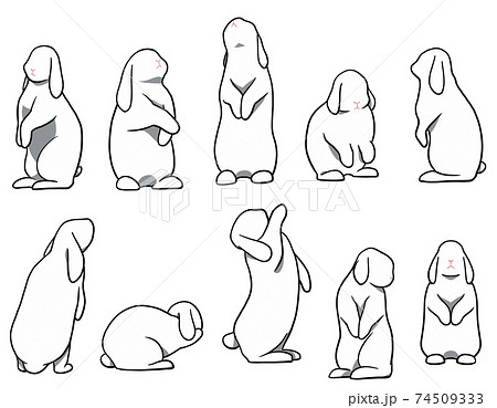 お立ちウサギ たれ耳 ホワイトセットのイラスト素材 お立ちウサギ たれ耳 ホワイトセットのイラスト素材