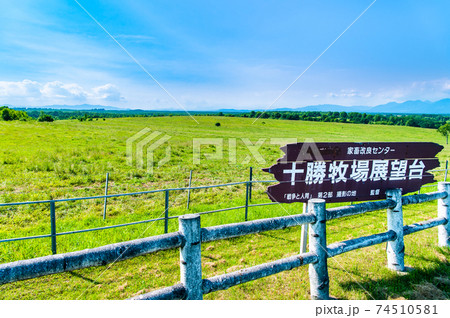 北海道音更町　十勝牧場 展望台 74510581