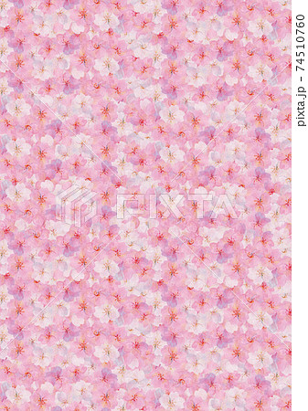 レトロな水彩 桜の背景素材 ソメイヨシノ 花見 和風 和柄 昭和レトロ 入学 卒業のイラスト素材