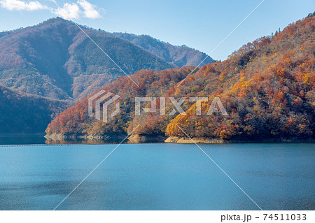 九頭竜ダム　(11月　紅葉　秋　晴れ) 74511033