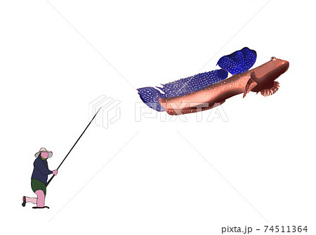 釣られたムツゴロウ 74511364