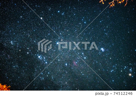 八ヶ岳の冬の星座ペルセウス座とカリフォルニア星雲とスバル星団を紅葉の林から見上げる 八ヶ岳の冬の星座ペルセウス座とカリフォルニア星雲とスバル星団を紅葉の林から見上げる 74512246