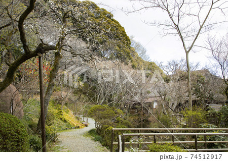 京王百草園　心字池周辺 74512917