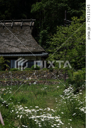 四季の散歩 春 京都 美山 放水 四季の散歩 春 京都 美山 放水 74513145