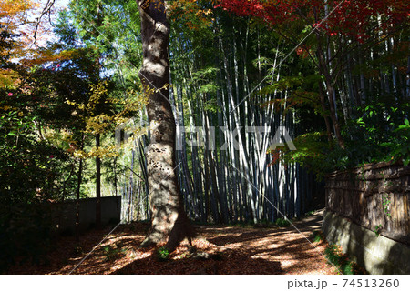 くん静山薬王寺の紅葉　　＃40 74513260