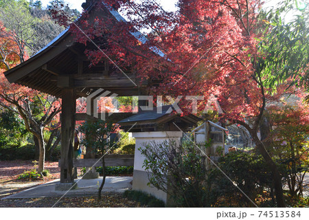 くん静山薬王寺の紅葉　　＃44 74513584