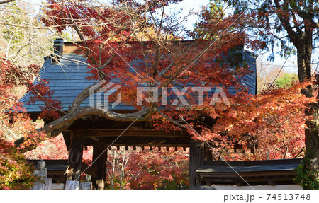 くん静山薬王寺の紅葉　　＃52 74513748