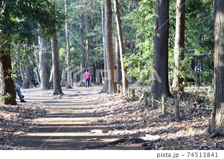 公園の中で日差しが差し込む道 公園の中で日差しが差し込む道 74513841